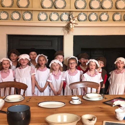 AHS1