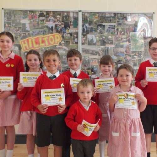 Stars Of The Week 
