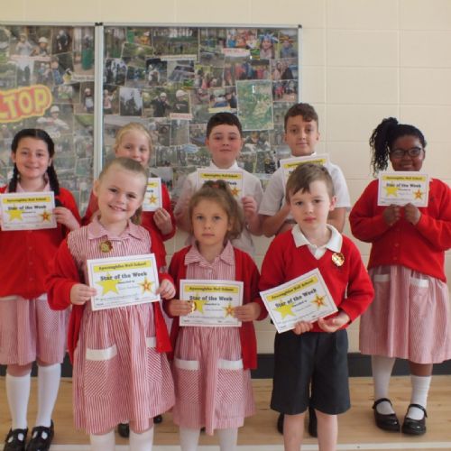 Stars Of The Week 