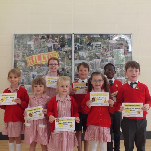 Stars Of The Week 