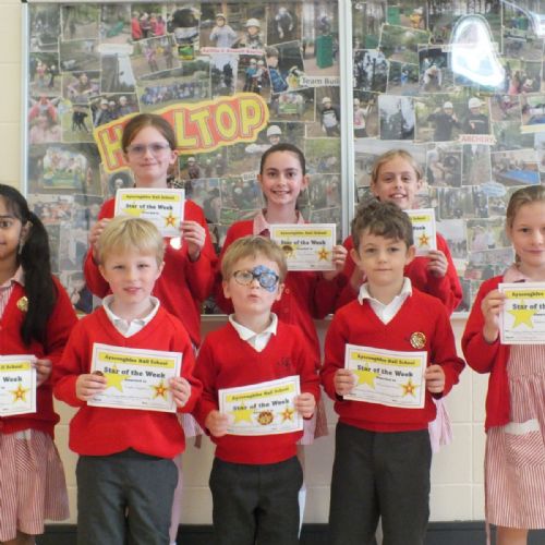 Stars Of The Week 