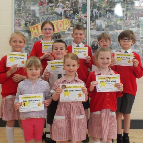 Stars Of The Week 
