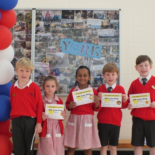 Stars Of The Week