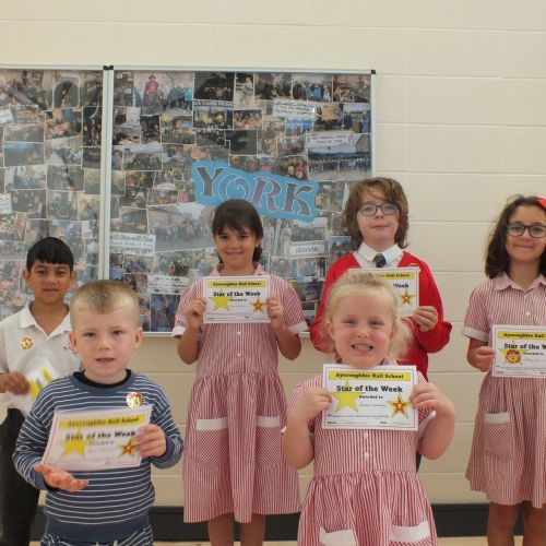 Stars Of The Week 