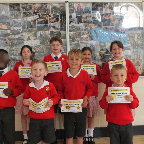 Stars Of The Week