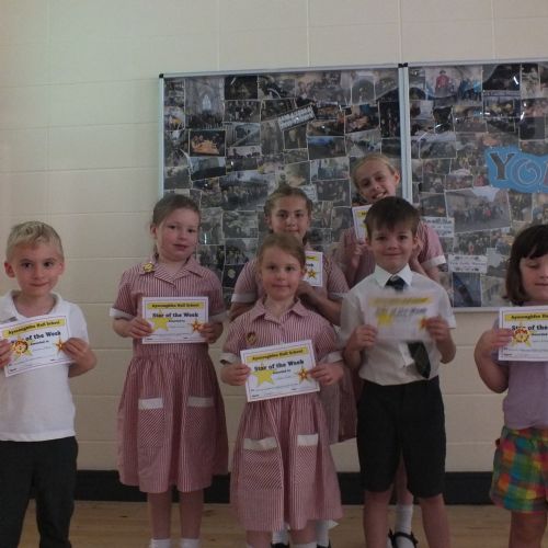 Stars Of The Week