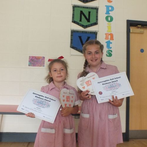 Kindness Award