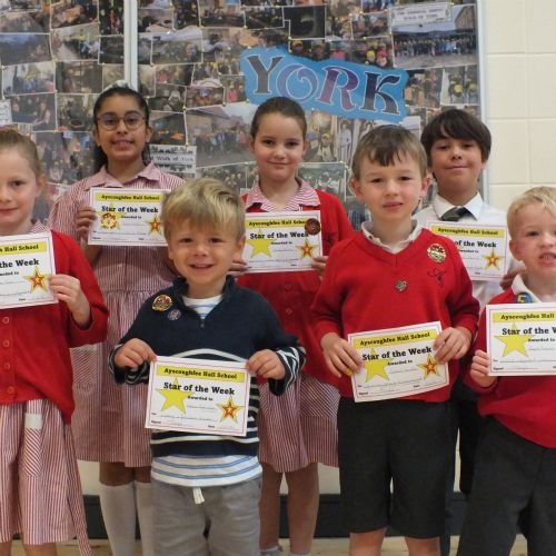 Stars Of The Week 