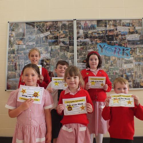 Stars Of The Week