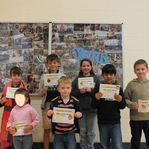 Stars Of The Week