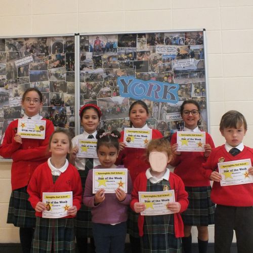 Stars Of The Week