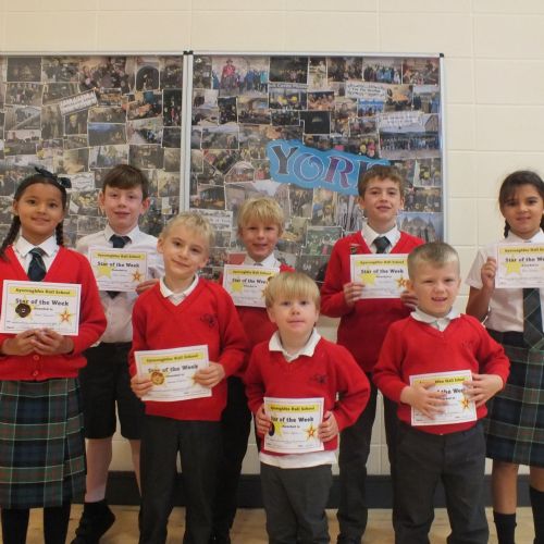 Stars Of The Week