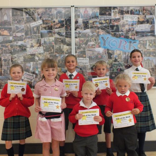 Stars Of The Week 