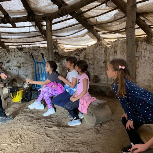 Year 3 Trip to Flag Fen