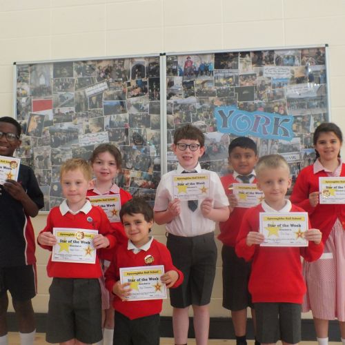 Stars Of The Week