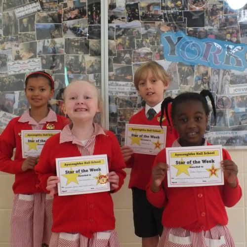 Stars Of The Week