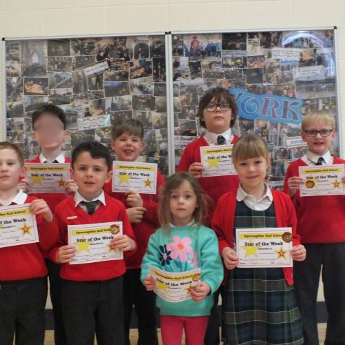 Stars Of The Week 
