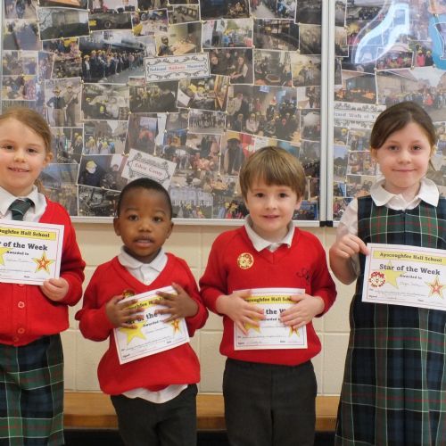 Stars Of The Week 